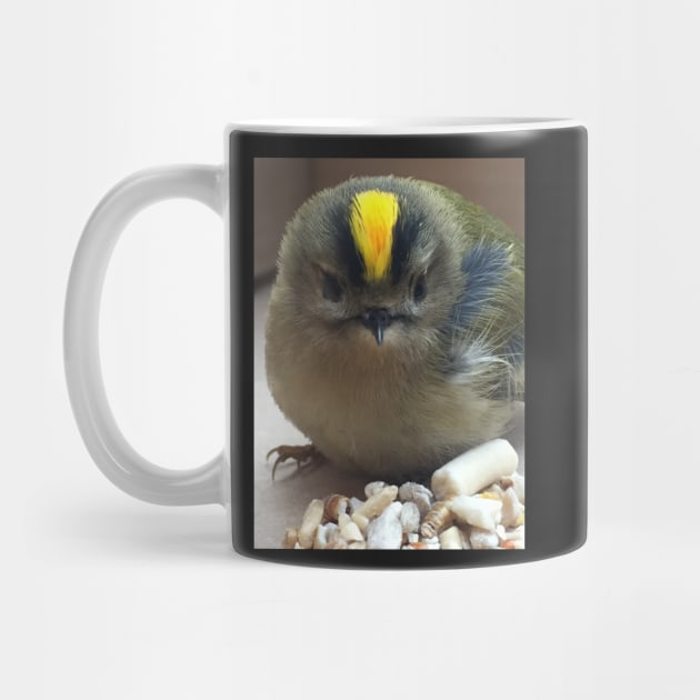 Punk Rock Chick - King of the Birds! My Friend the Goldcrest! by Bucklandcrafts